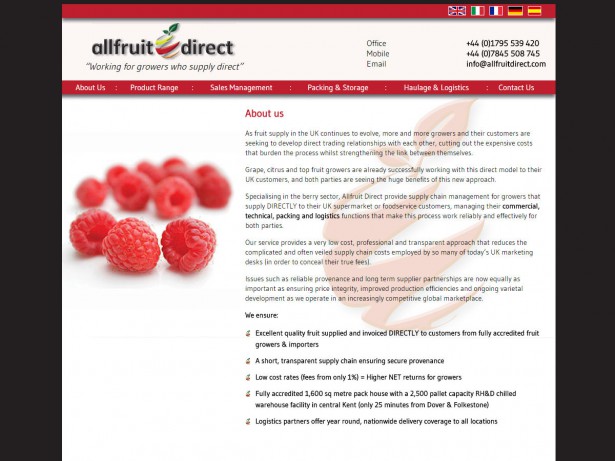 images/615/website-design-all-fruit-direct-2_W.jpg