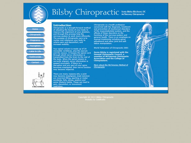 images/615/website-design-bilsby-chiropratic_W.jpg