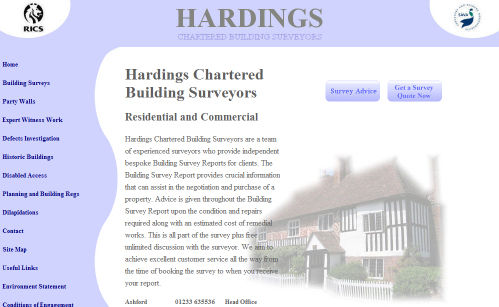 Hadings Surveyors Website Design
