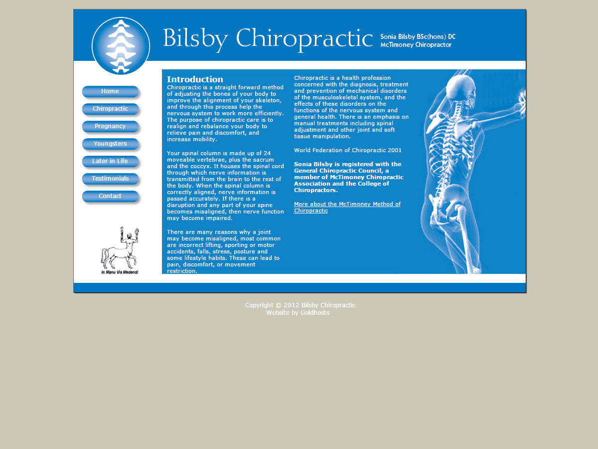 Bilsby Chiropractic Website Design