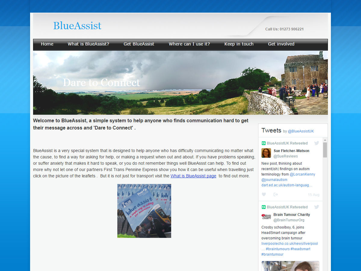 Blue Assist Website