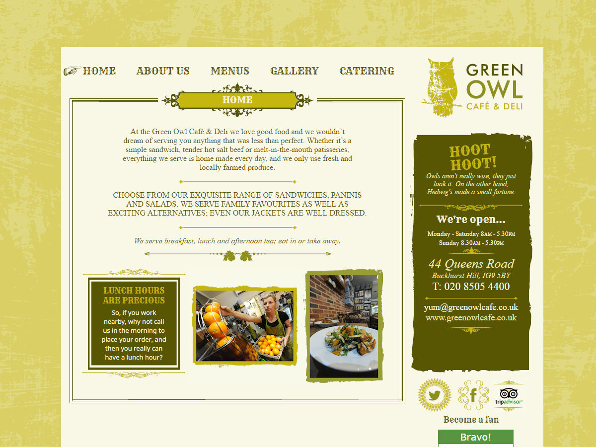 Green Owl Website Design
