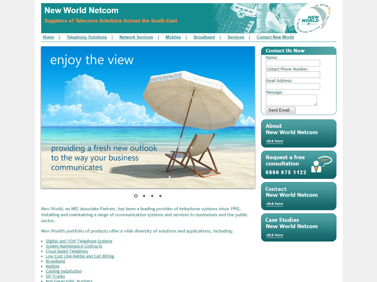 New World Net Com Website Design